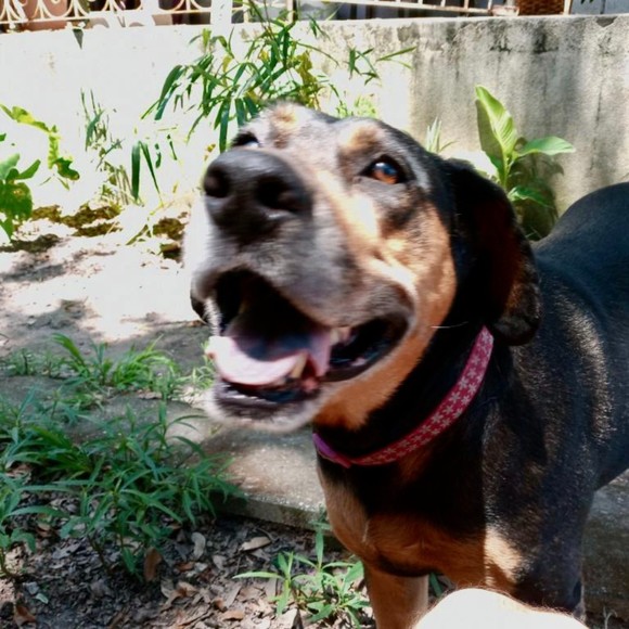 Meet your Posher, Nicole - Picture 1 of 1